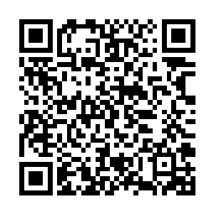 虚体甚至还没反应过来也给连续斩出了一道道的剑痕二维码生成