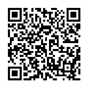 虚化能量凝结的血肉骨骼看上去和平常人的血肉没什么区别二维码生成