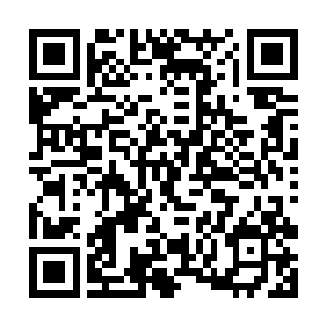 虚影上面也散发出一股浓浓的凝而不散的恐怖的枪意二维码生成