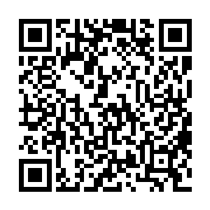 虚影连同之内的张潇晗同样专注地望着悬浮在面前的紫雾二维码生成
