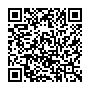 虚无之眼的全部视线能力凝聚到苏林一个人身上二维码生成