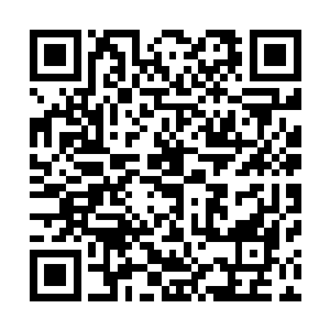 虚无之花……虚无……唯有虚无的力量才能够找到那朵母花二维码生成