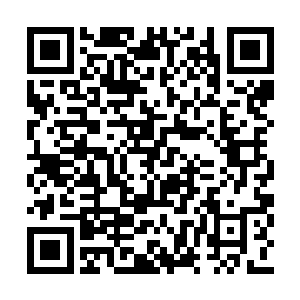 虚池视线从对方精致的用纳米丈量的面孔上扫过二维码生成