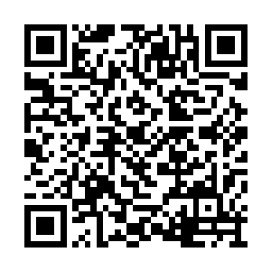 虚空中那蔓延数里的剑气都在此刻开始震荡起来二维码生成
