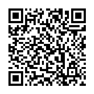 虚空之中的九彩色的光芒也猛地开始疯狂的闪烁起来二维码生成