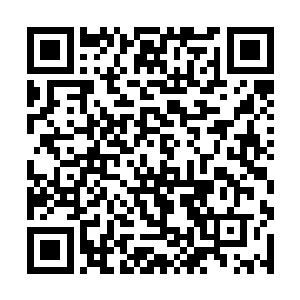虚空之中的赤红色的巨旗也猛地开始聚类的晃动起来二维码生成