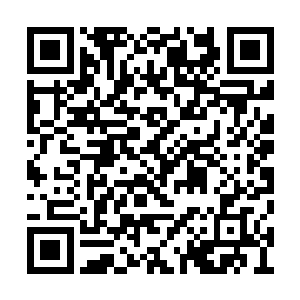 虚空之中的那跳动的巨大的血色的心脏猛地一缩二维码生成