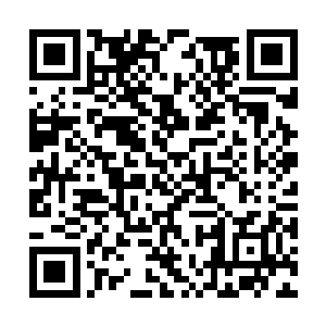 虚空之中的龙傲天自然不知道此刻大路上欢呼连连二维码生成