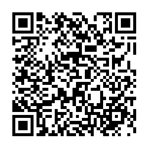 虚空之中盘旋的鹏万里一双眼睛之中骤然间迸射出一道金色的光芒二维码生成