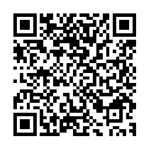 虚空宝塔内的众多小光团猛然之间有数个光团快速飞向徐天涯二维码生成
