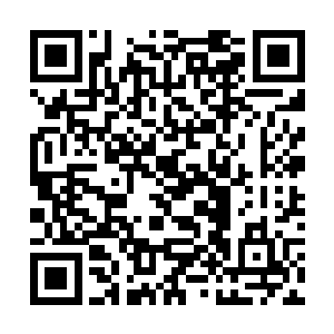 虚空当中的可怕邪焰迅速凝聚成一只巨大的火焰手掌二维码生成