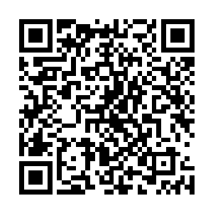 虚空迁徙漫漫生涯让我们这批龙族懂得了生存才是宝贵唯一二维码生成