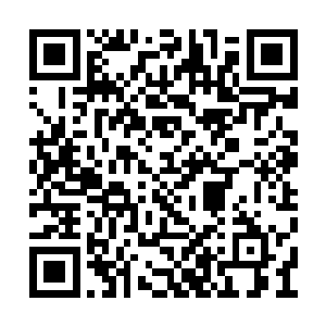 虚立在高空之中的一个个圣级大修士便头晕目眩二维码生成
