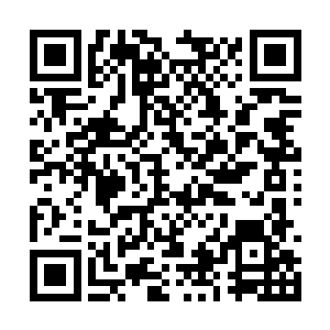 虚风大神还以为江帆要几百年才能达到符神境界呢二维码生成