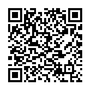 虞品言话音刚落便感觉自己的膝盖骨也剧烈疼痛起来二维码生成