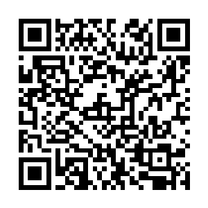 虞巫降下的大水让那个大坑在转眼间变成了一个小湖泊二维码生成