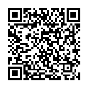 虞柔的意识和元明老祖的意识基本是并存于虞柔体内二维码生成