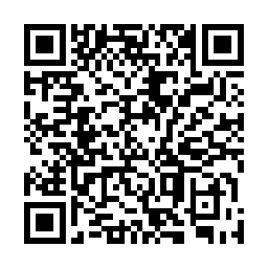 虫仙子的幼圣体转化只能作用在同等级乃至高等级的种族二维码生成