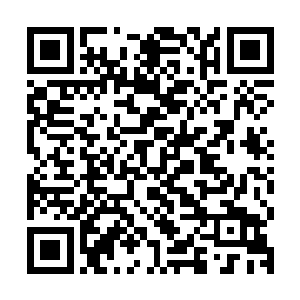 虫界虫洞开到这种程度应该已经可以召唤出强天位级别的虫子了二维码生成