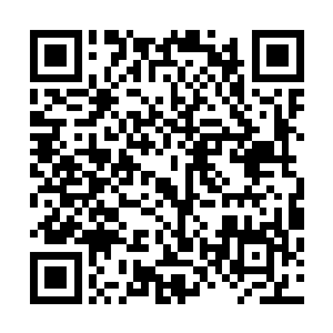 虽凭着海龟天生无比强大的在体内积攒了堪比金丹期的真气二维码生成