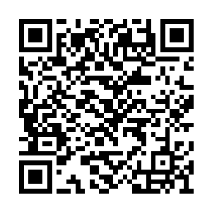 虽只是淡淡的一个眼神却是让青衣小婢瑟瑟一抖二维码生成