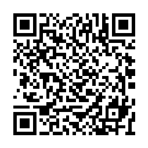 虽有随征仙人拔苗助长地提供大阵防御基础建设二维码生成