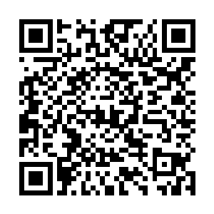 虽然一直以来她对于江迟聿在外面的风流韵事从不关心二维码生成