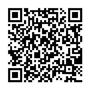 虽然三十七周距离五十四周依旧有着不可逾越的鸿沟二维码生成