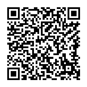 虽然三角马们这一路上经历了很多已经不像刚出部落那个时候那么容易受到惊吓二维码生成