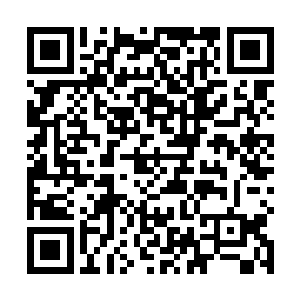 虽然上一次苏雪已经知道了白芷璃想要拿到冠军的意思二维码生成