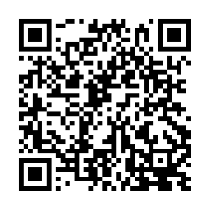 虽然上位血族们的力量暂时还看不出什么明显影响二维码生成