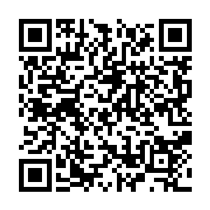 虽然上次发烧的时候凌菲喝了这个才慢慢的好起来二维码生成