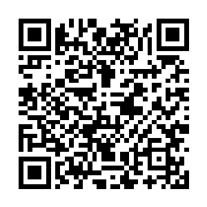 虽然不再是象万兽园这样一次八千点贡献的大任务二维码生成