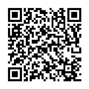 虽然不及他爷爷当年那种割一刀能立马复原的程度二维码生成