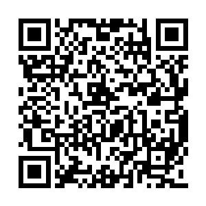 虽然不太明白血幽紫说的会变成白痴是什么意思二维码生成