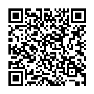 虽然不如李雨彤的那种可以直接帮助修真者突破瓶颈二维码生成