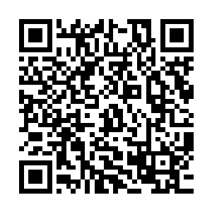 虽然不明白这个无角人巫者为什么要用装饰材料做契约承载物二维码生成