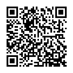 虽然不知道为什么你恨你父亲恨到要在这样的时刻杀掉他二维码生成