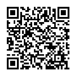 虽然不知道为什么这种虚空异兽会出现在人间界二维码生成