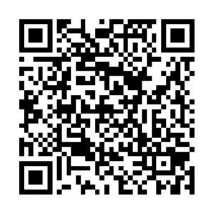 虽然不知道塞尔伦为何能一瞬间召唤出如此恐怖的阵容二维码生成