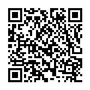 虽然不知道对方使的是什么手段能让赢家堡坞鸡犬不留二维码生成