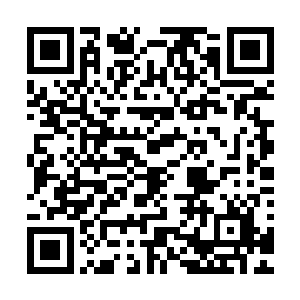 虽然不知道此处的芯片是否跟他在罗浮山发现的属于同一类别二维码生成