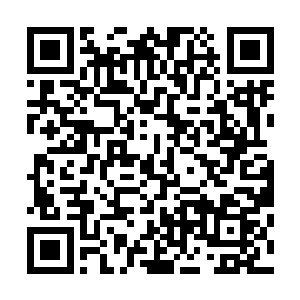 虽然不知道现在菩提子是以什么方式进入到了天碑之中休养二维码生成