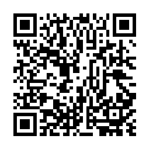 虽然不知道究竟是不是仙界的十大神器之一的紫青双剑二维码生成