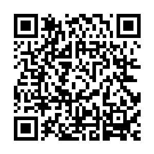 虽然不知道赵虎为什么这么嚣张的宣布瀚海星域属于大秦帝国二维码生成