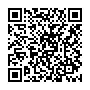 虽然不知道那所祭坛究竟在整个过程中发挥什么功用二维码生成