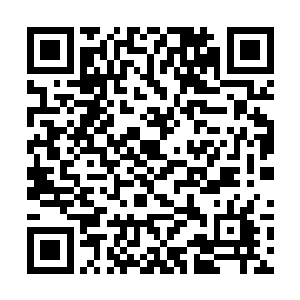 虽然不知道顾苒和那个齐思聪之间的赌约是怎么回事二维码生成