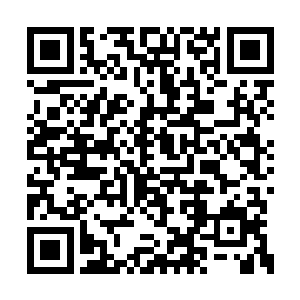 虽然不确定这个天位级别的龙龟王到底是否存在二维码生成