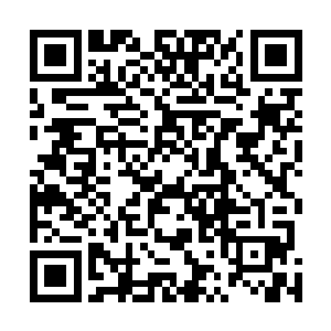 虽然不管是在本体人生还是在诸多逆袭剧情中都没那啥过二维码生成