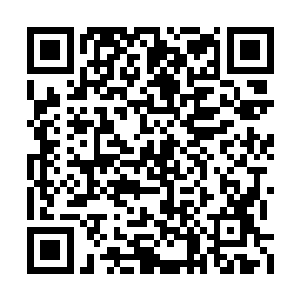 虽然不能肯定卢向东背后到底有没有站着什么人二维码生成